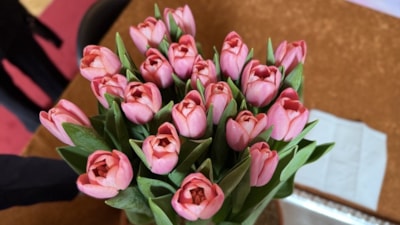 Hollanda'da yetiştirilen kırmızı lale 'Kızılırmak' olarak tescillendi