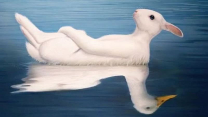 İlk ne gördünüz: Ördek mi, tavşan mı? Gerçek doğanızı öğrenin...