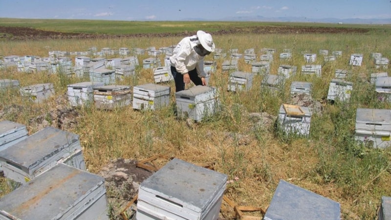 Diyarbakır'da çiftçiye 158 milyon TL hibe