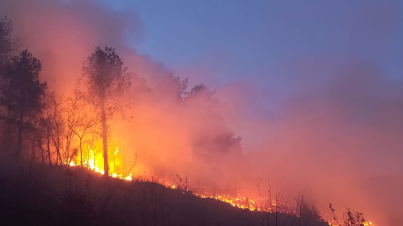 Hatay'da çıkan orman yangını kontrol altına alındı