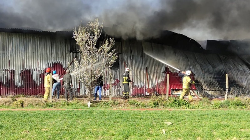 Bursa'da gül serasında yangın çıktı