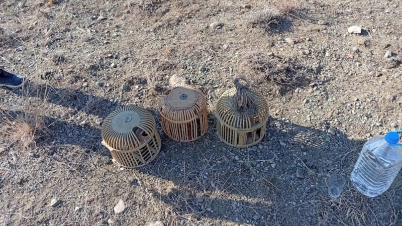 Iğdır'da kınalı keklik avcılarına 402 bin 825 lira ceza