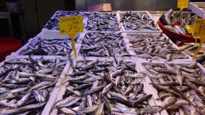 Türkiye genelinde balık avı sezonu 15 Nisan'da sona erecek