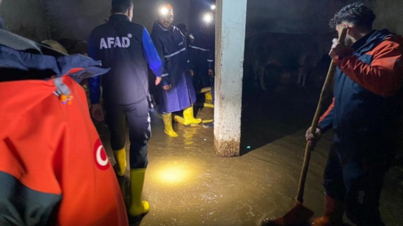 Ağrı’da karlar eridi, evler ve ahırları su bastı