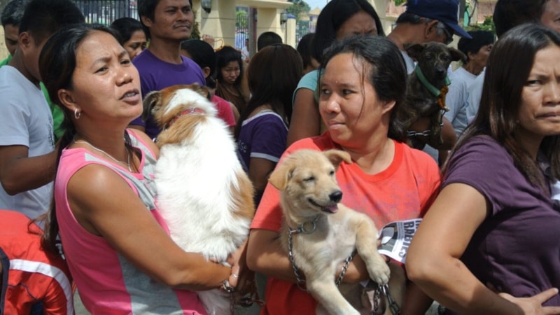 2024 yılında Filipinler'de 426 kişi kuduzdan öldü