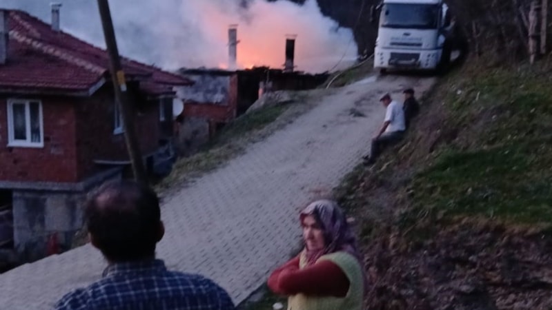 Bartın'da son anda yanmaktan kurtuldular: Çaresizce alevleri izlediler