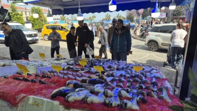 Samsun'da balık tezgahlarında, Ramazan ayı sakinliği