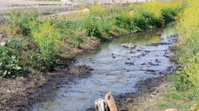 Adana'da dere yatakları siyah aktı: Mahalle sakinleri kirliliğe tepki gösterdi