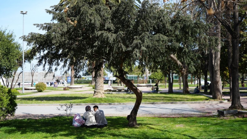Samsun'da çöl sıcaklıkları hakim