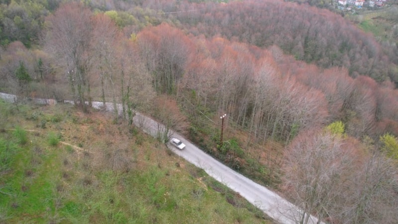 Zonguldak ormanlarında kartpostallık görüntüler