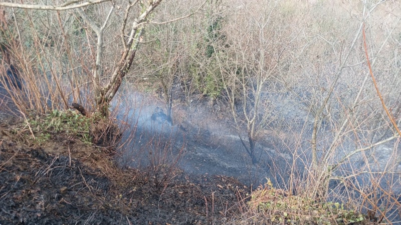 Kocaeli'de temizlik amacıyla yakılan ateş ormanı küle çevirdi