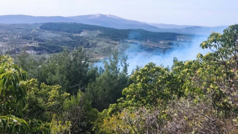 Manisa'da 1 hektar orman yandı