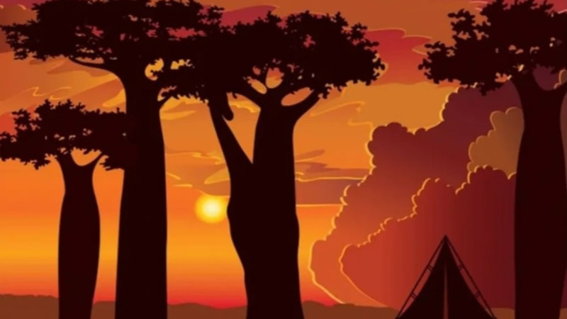 Gözlem Yeteneklerinizi Kanıtlayın: İllüzyondaki Gizli Zürafayı 5 Saniyede Bulun!