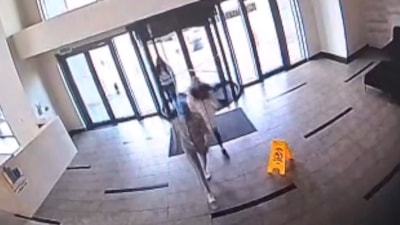 İstanbul'da 3 kadın 1 milyon TL'lik kasayı çarşafa sarıp çaldı