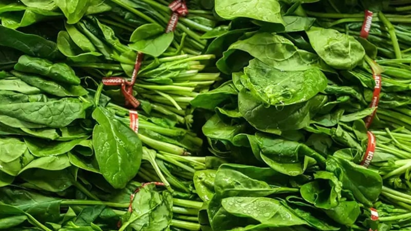 Tüketilmemesi gerekiyor denildi: Ispanaklar tek tek toplatılıyor! İşte, nedeni