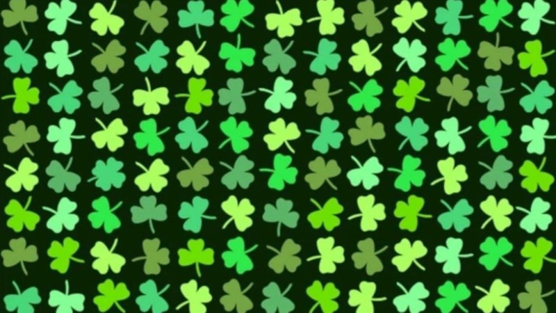 Gözlem yeteneğinizi test edin! Resimdeki dört yapraklı yoncayı bulabilir misiniz?