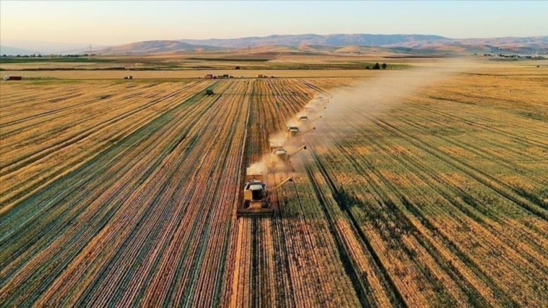 Tarımsal üretim ve kırsal kalkınmaya yeni yatırımlar