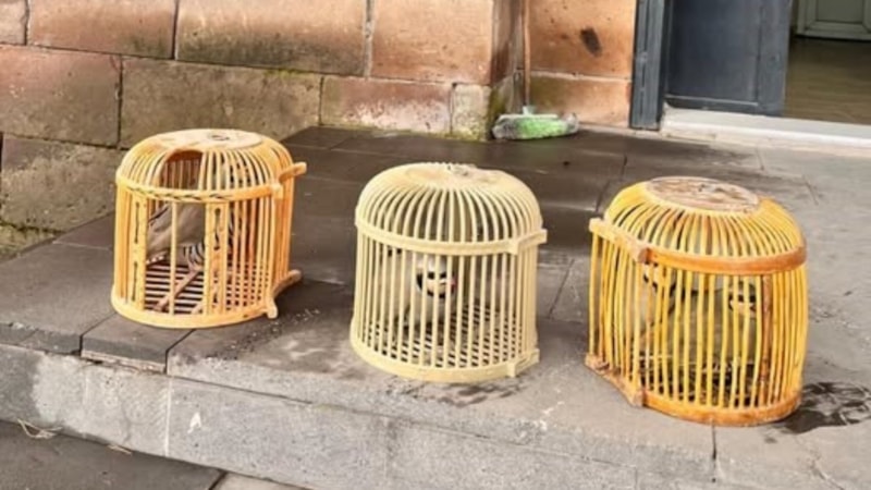 Bitlis'te kaçak avlanmaya ağır ceza