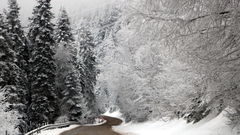 Bolu'nun yayla ve ormanlarında kar güzelliği