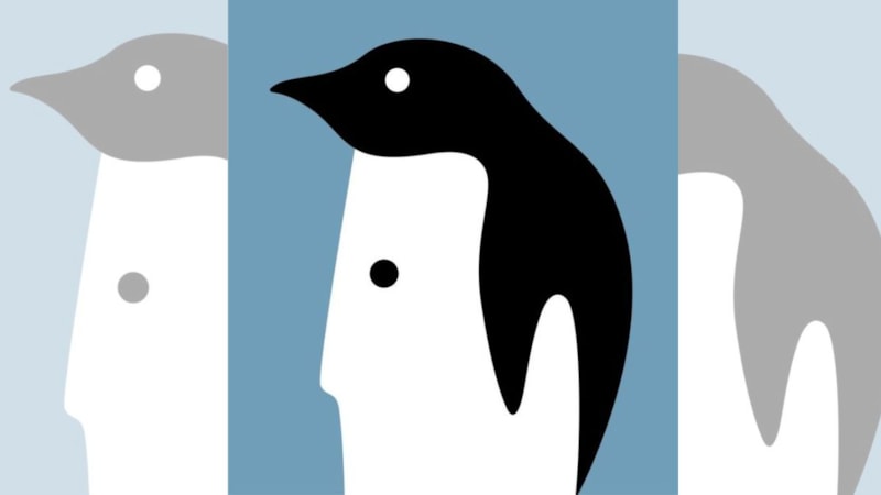 Optik İllüzyon: Ne Kadar Saf Olduğunuzu Ortaya Çıkarıyor...