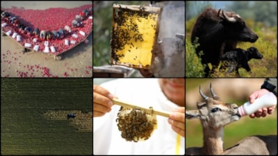 Türkiye, tarımsal hasılada Avrupa'da 1. ve dünyada 8.