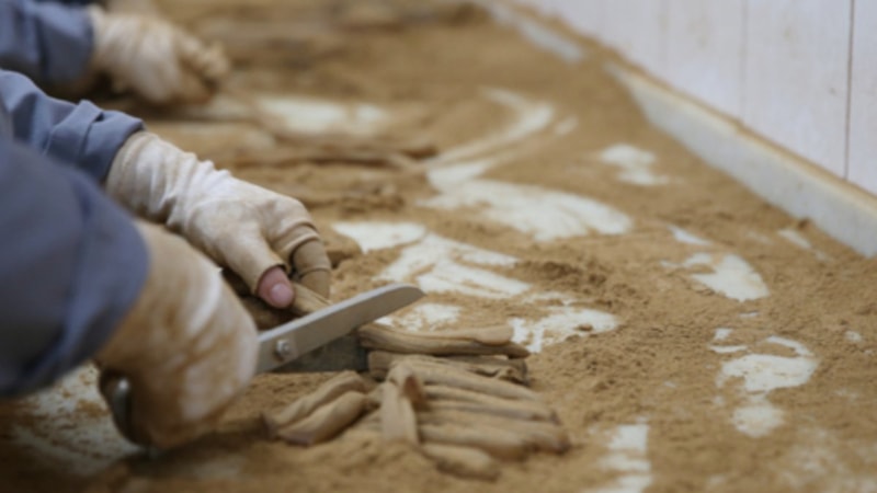 Mesir macunu nedir? Mesir macunu faydaları nelerdir?