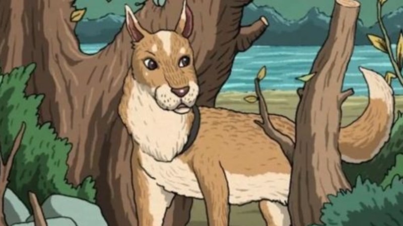 Bunu çözebilenlerin IQ’su 140 üstü! 7 saniyede gizli kediyi bulun…