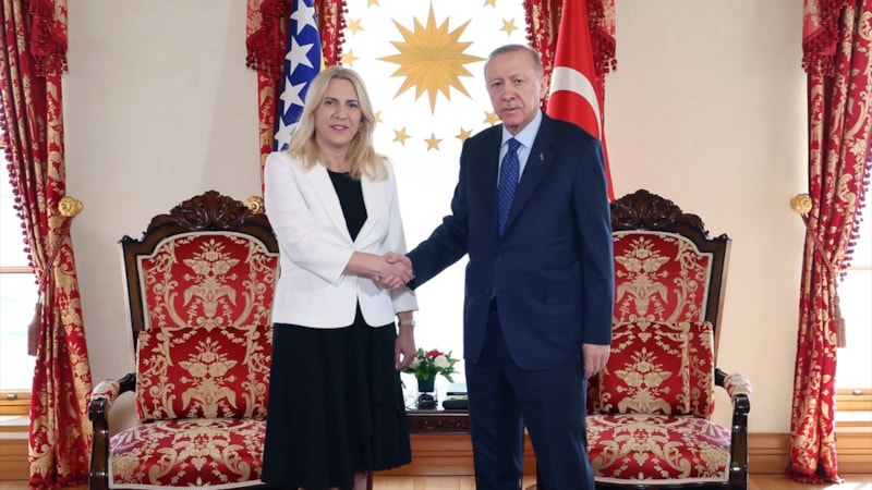 Cumhurbaşkanı Erdoğan ve Jelka Sviyanoviç İstanbul'da görüştü