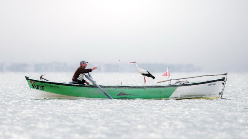 İspanya’dan 'Yaren Leylek' fotoğrafına birincilik ödülü