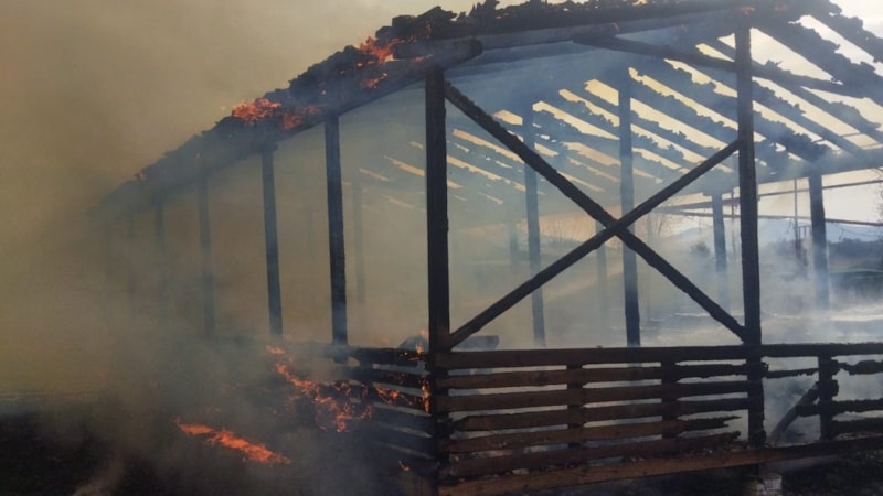 Bursa'da at çiftliğinde yangın paniği