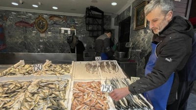 Trabzon'da mezgit ve istavrit tezgahtaki yerini aldı