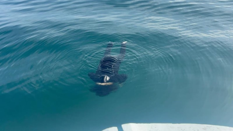 Trabzon açıklarında denizde erkek cesedi bulundu