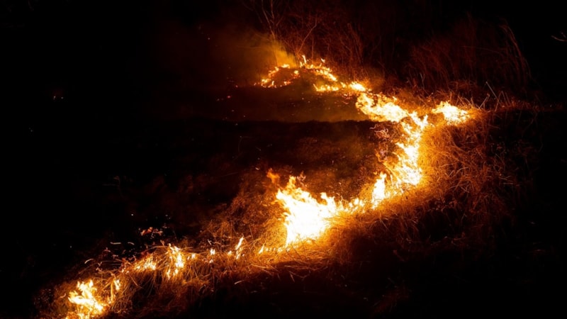 Güney Kore'deki orman yangınlarında ölü sayısı 15'e yükseldi