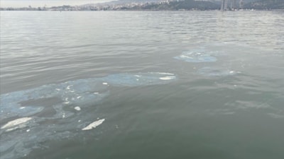 İzmir Körfezi'ne boya atığı döken firmaya 8,3 milyon lira ceza