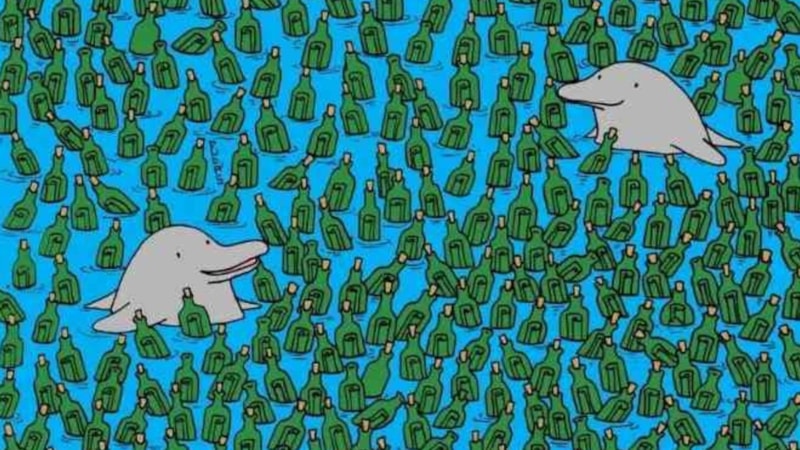 IQ testi: 5 saniyede 5 boş şişeyi bulan, süper zeka sayılıyor…