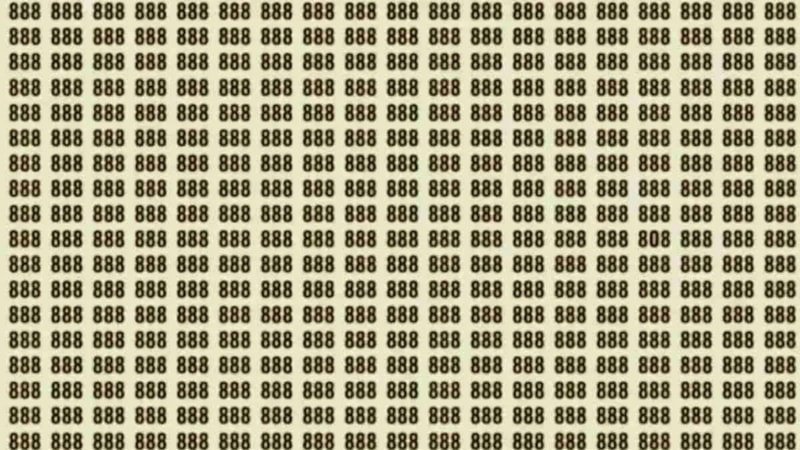 Süper zeka testi: 808 sayısını 5 saniyede bulan dahi sayılıyor