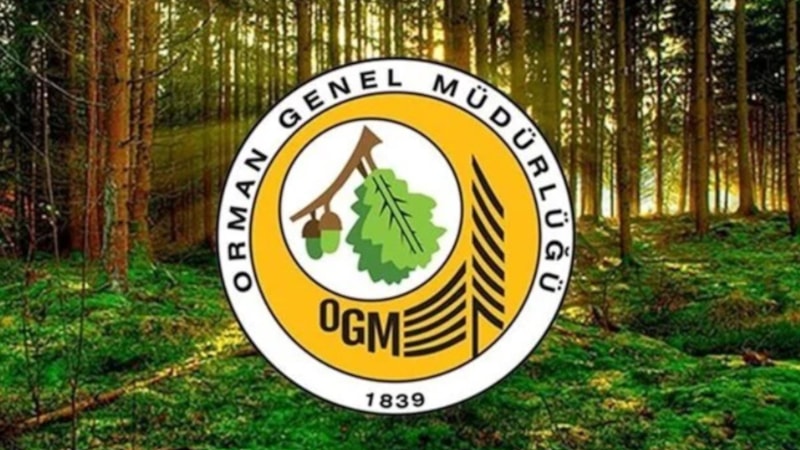 OGM 4500 personel alacak! Orman Genel Müdürlüğü işçi alımı kura çekimi ne zaman?