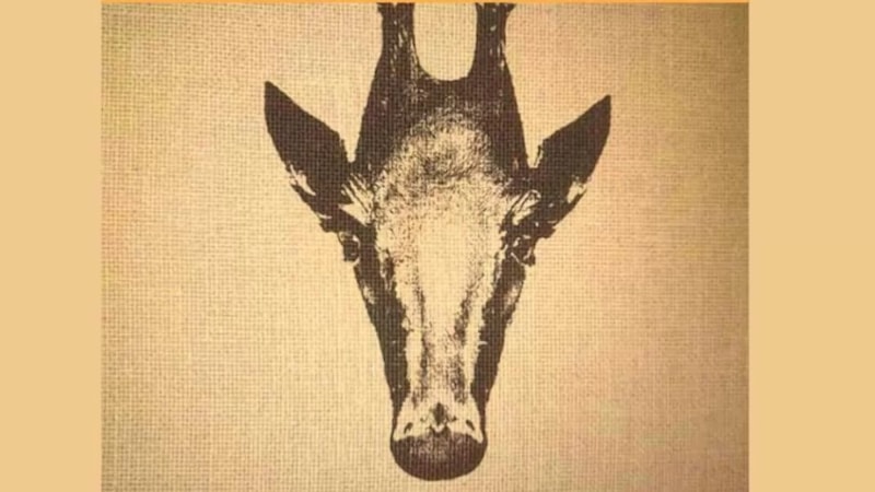 İleri İllüzyon Testi: Pengueni Görenler 