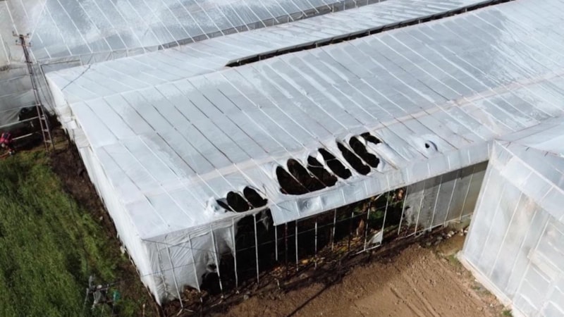 Mersin'de sera yangını