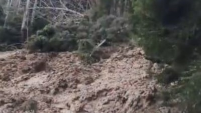 Artvin'de heyelan: Orman yerle bir oldu, köy yolu kapandı