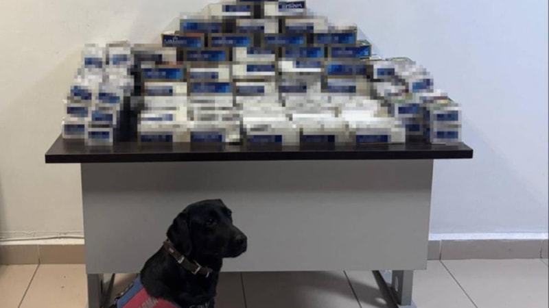 Yozgat’ta 20 bin makaron ele geçirildi