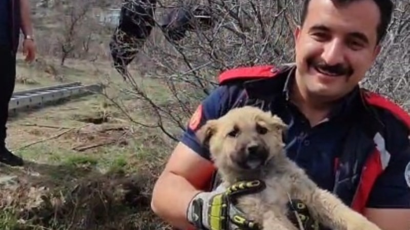 Kayseri'de kuyuya düşen yavru köpek kurtarıldı