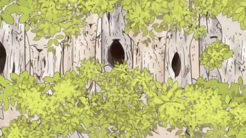 Keskin Gözlüler Aranıyor! Dikkatli Olun, 5 Saniyede Baykuşu Bulun...