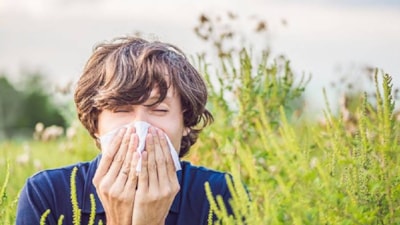 Bahar alerjisine iyi gelen bitkiler! İlaçları rafa kaldırıyor...