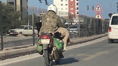 Mersin'de motosiklette koç taşıdı