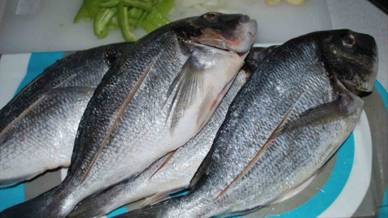 Nisan ayında hangi balıklar yenir? İşte, Nisan ayında yenecek en lezzetli balıklar