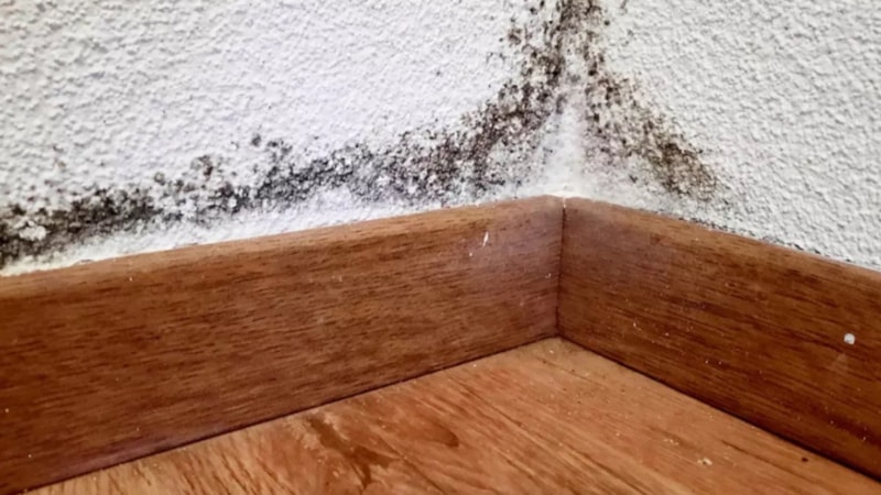 Süpürgelikler bir daha toz tutmayacak: Tek parça yetiyor…