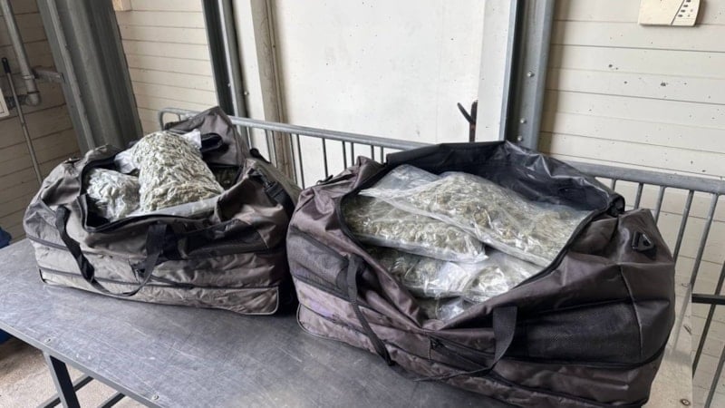 Edirne'de sınır kapısında 23 kilo esrar yakalandı