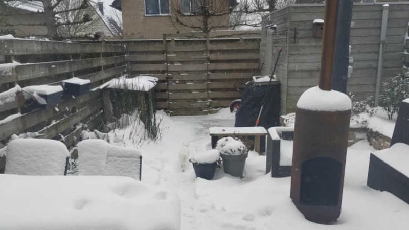 Gözlerinizi Test Edin! Gizli Kediyi 5 Saniyede Bulanlar Üstün Zeka Kategorisine Giriyor!