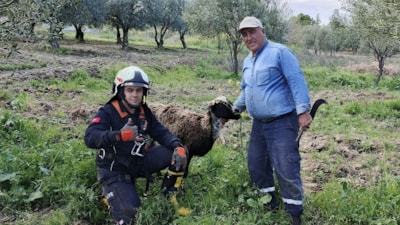 Manisa'da kuyuya düşen koyunu itfaiye kurtardı